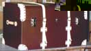 trunk12small.jpg (6826 bytes)