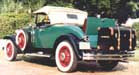 trunk20small.jpg (8879 bytes)