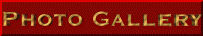 photogallery.gif (4075 bytes)